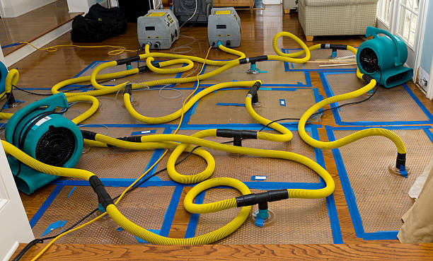 Professional Crawl Space Water Removal technician working in Newark, CA